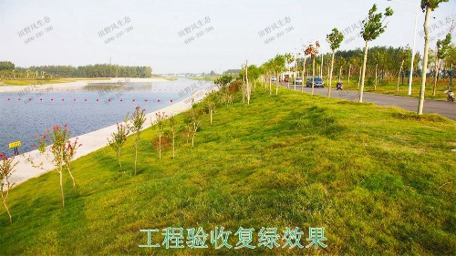 仁化县董塘河道生态治理工程