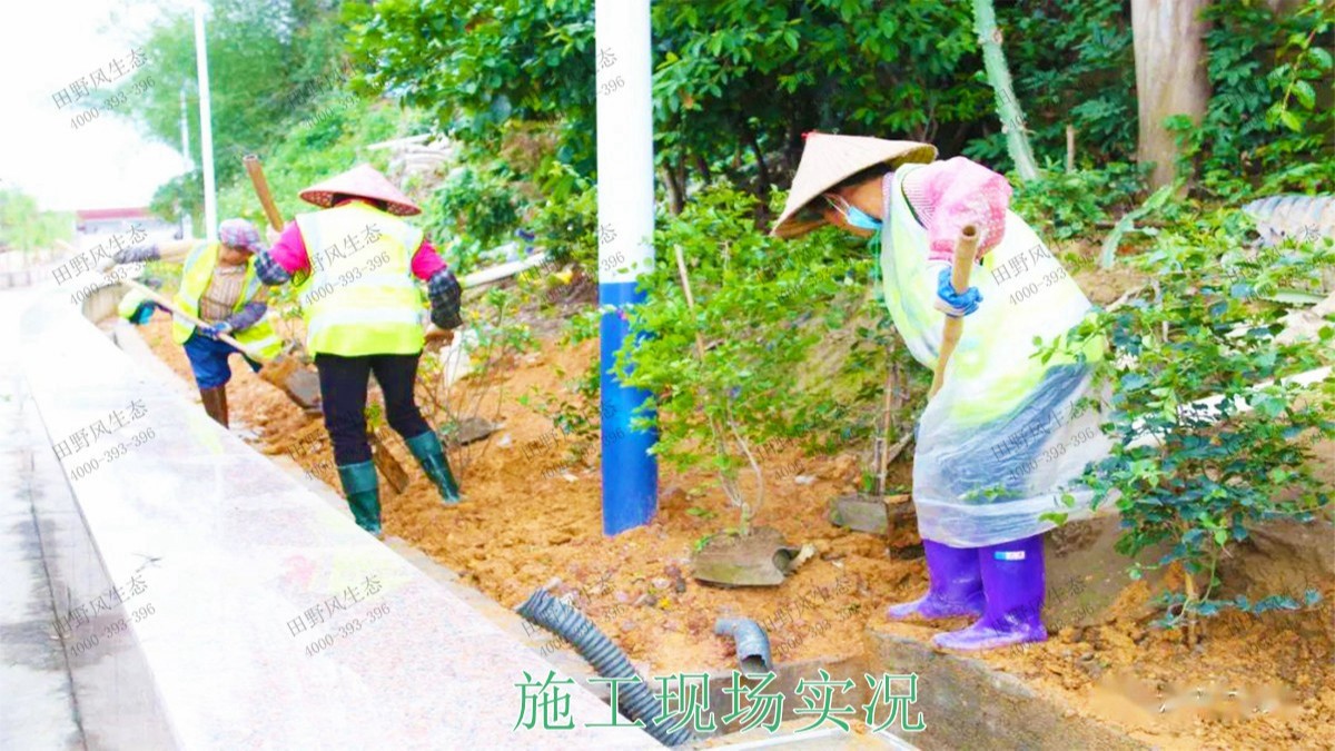 龙胜县和平河道河堤坡面挂网植草施工