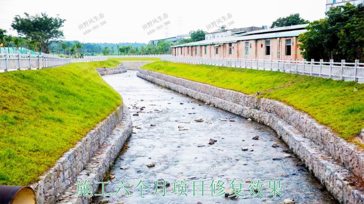 龙胜县和平河道河堤坡面挂网植草施工