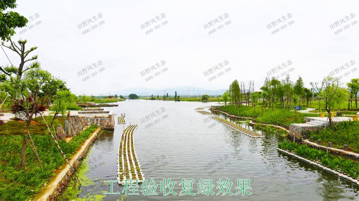 广宁县和漫水河道湖泊护坡绿化