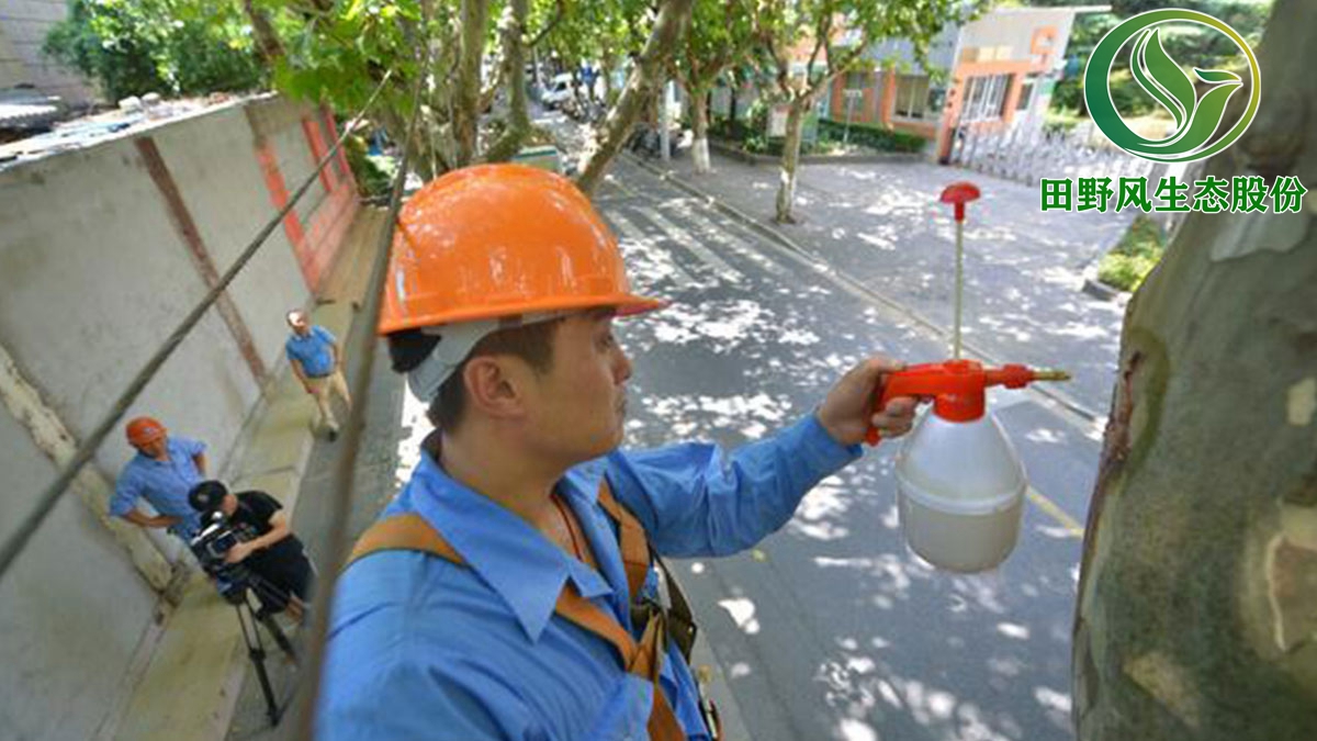 广州市白云区绿化养护,园林绿化