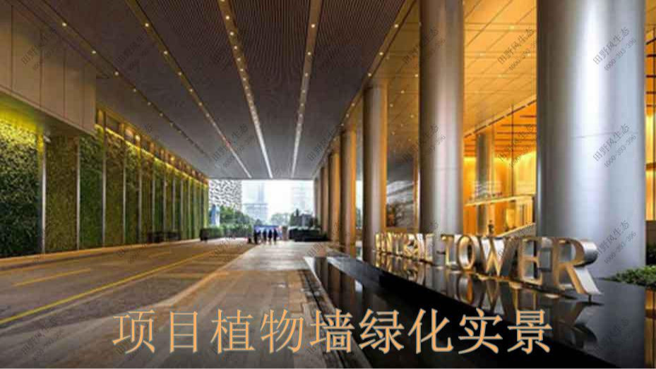 广州凯华国际中心绿植出租案例