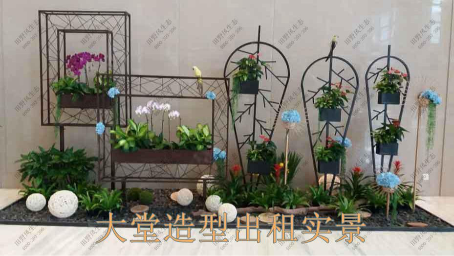 广州凯华国际中心绿植出租案例