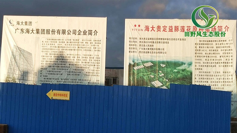 猪场绿化