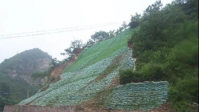 生态袋——环境保护、生态绿化、水土保持三位一体的生态护坡系统