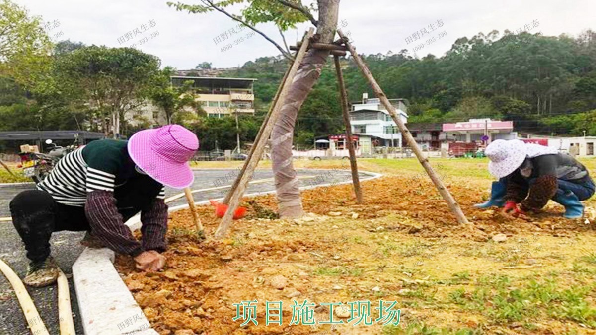 福建福州景区花海工程