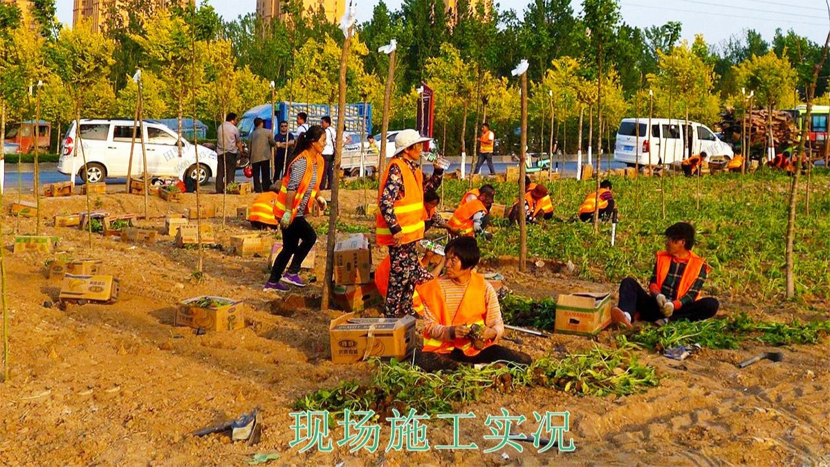 河北百花谷休闲综合体项目