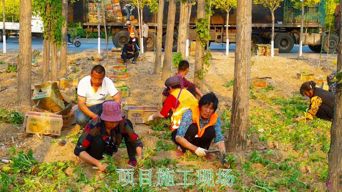 岭南大地休闲生态综合体项目