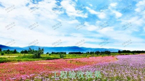 广西五彩田园休闲农业生态园