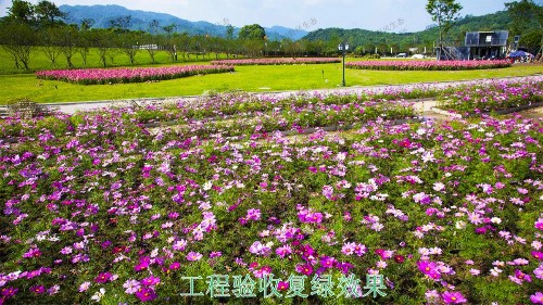 广西北海市景区花海工程