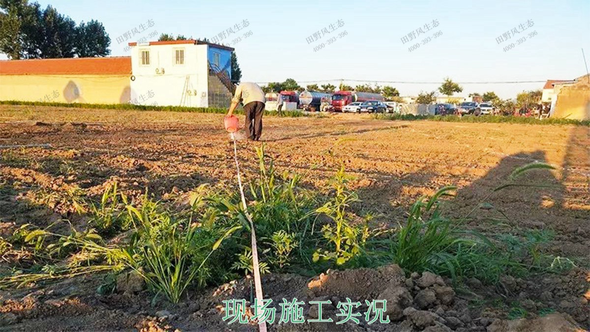 广西北海市景区花海工程