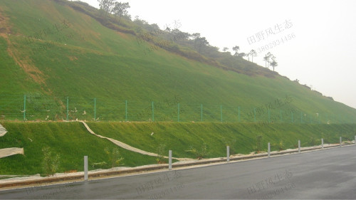 汕昆高速英德段高速公路边坡复绿工程