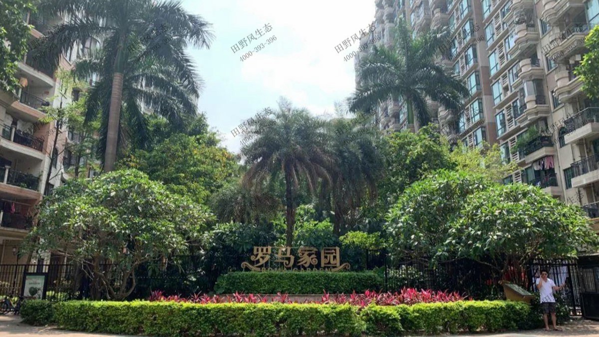 广州罗马家园小区绿植养护案例