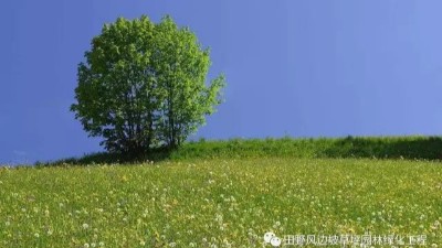 公路边坡生态防护对策与绿化植物选择