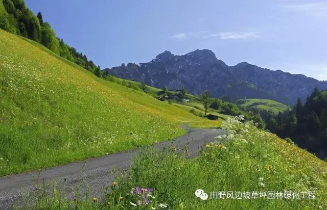 微信图片_20200617085800 微信图片_20200617085800