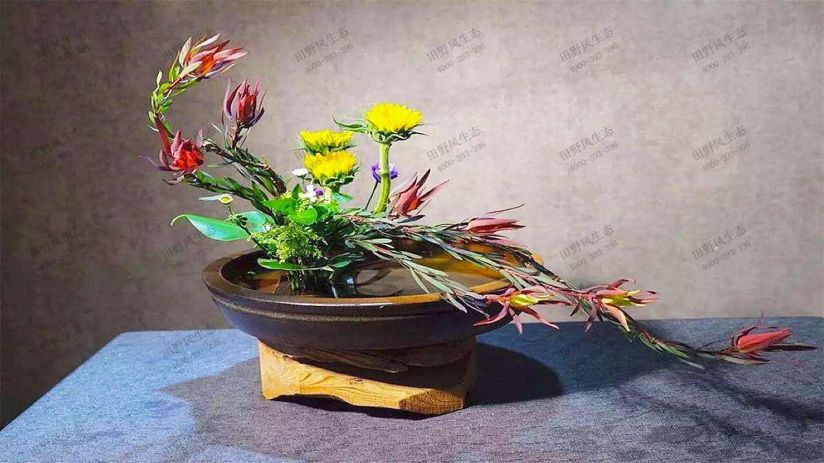 倒挂型插花1