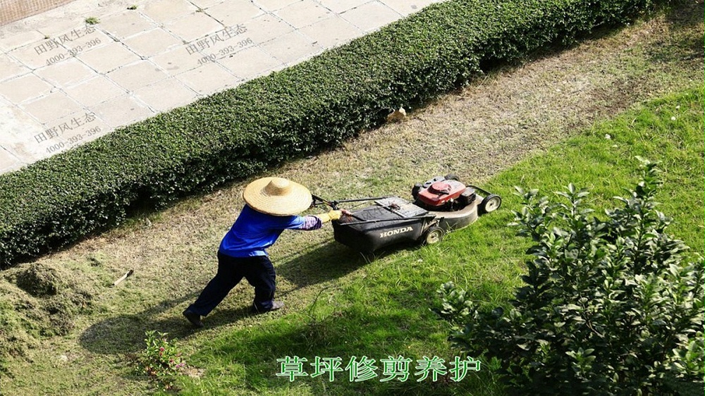 盆栽花卉租摆,中山医科大学第一附属医院