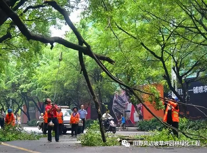 微信图片_20200528110648