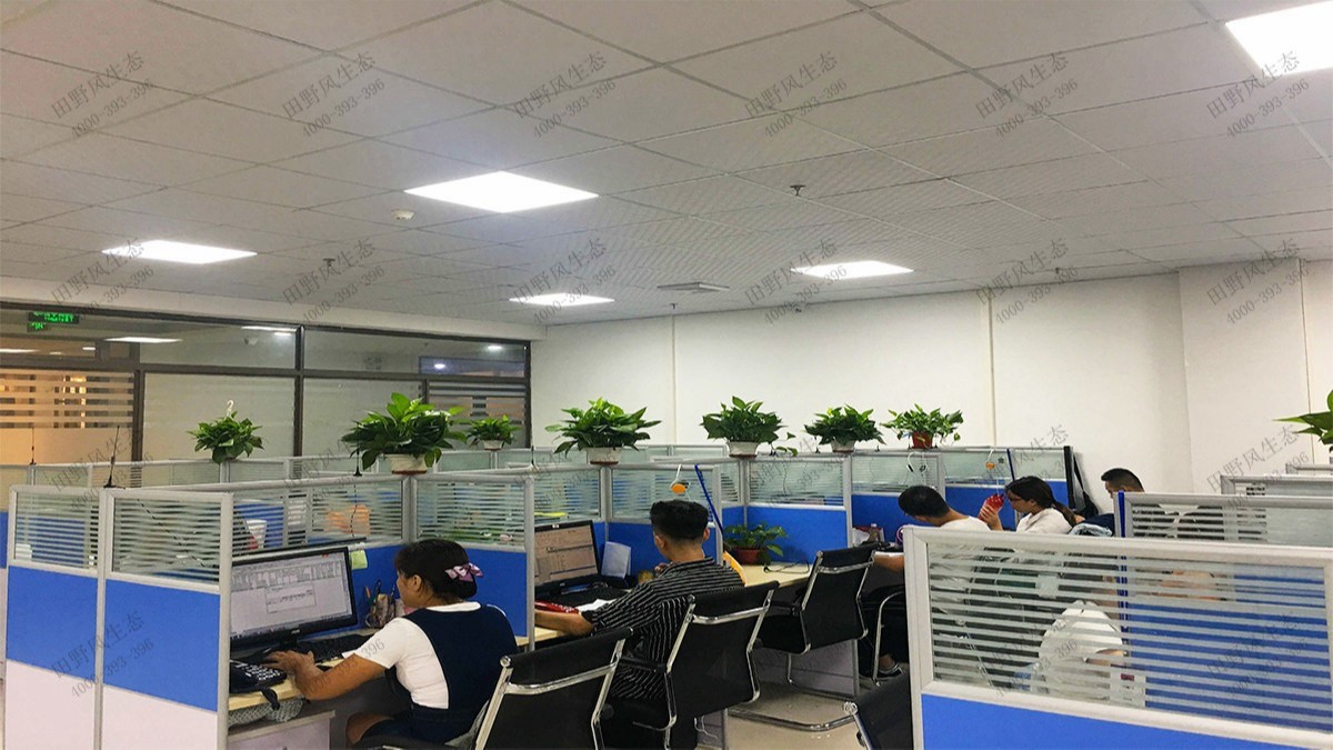 广州国际工程公司绿植租赁案例