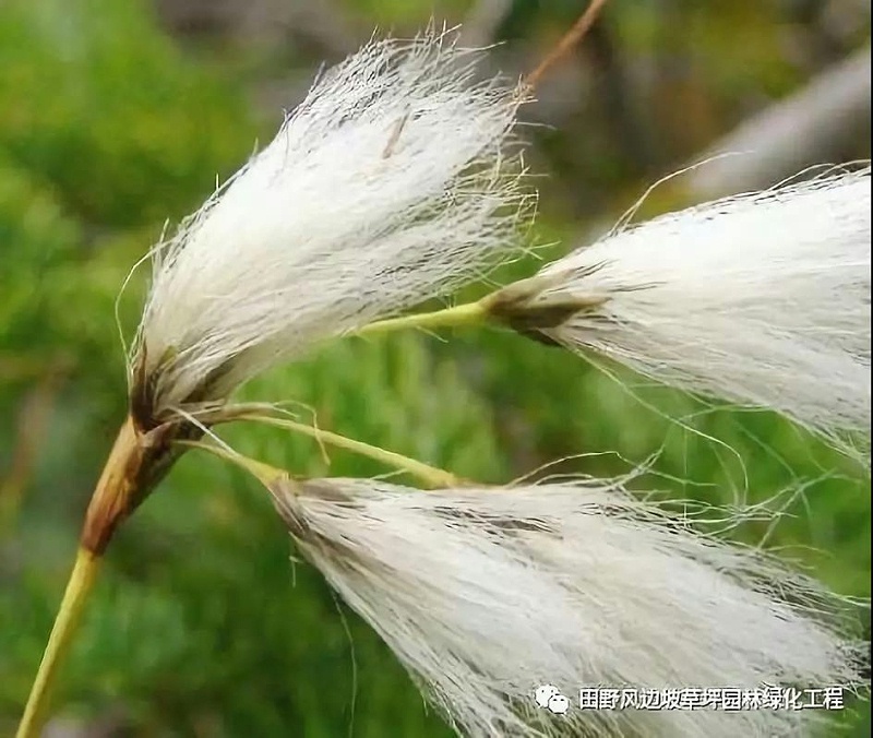 微信图片_20200601112539