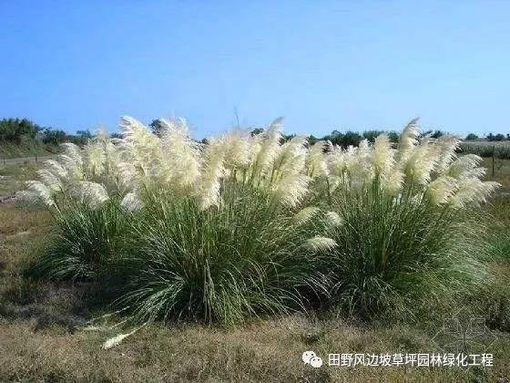 微信图片_20200601112503