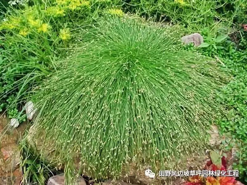 微信图片_20200601112515