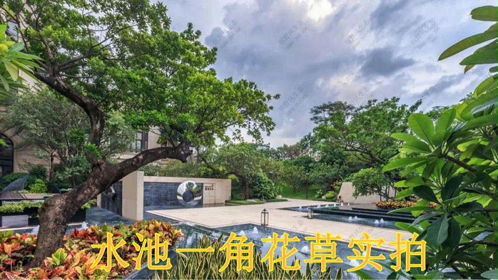 广州华发售楼中心绿植花卉租摆案例