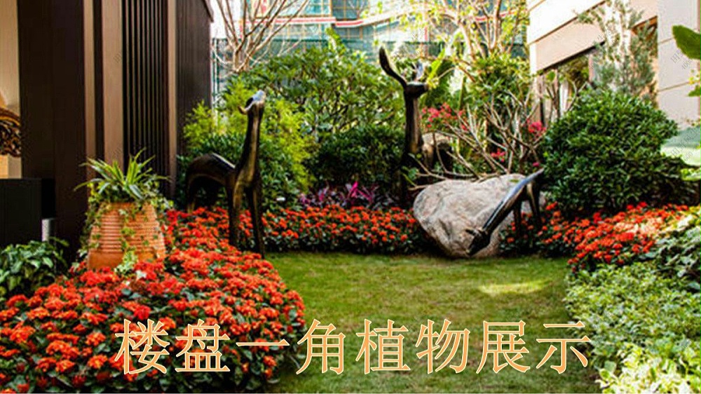 广州华发售楼中心绿植花卉租摆案例