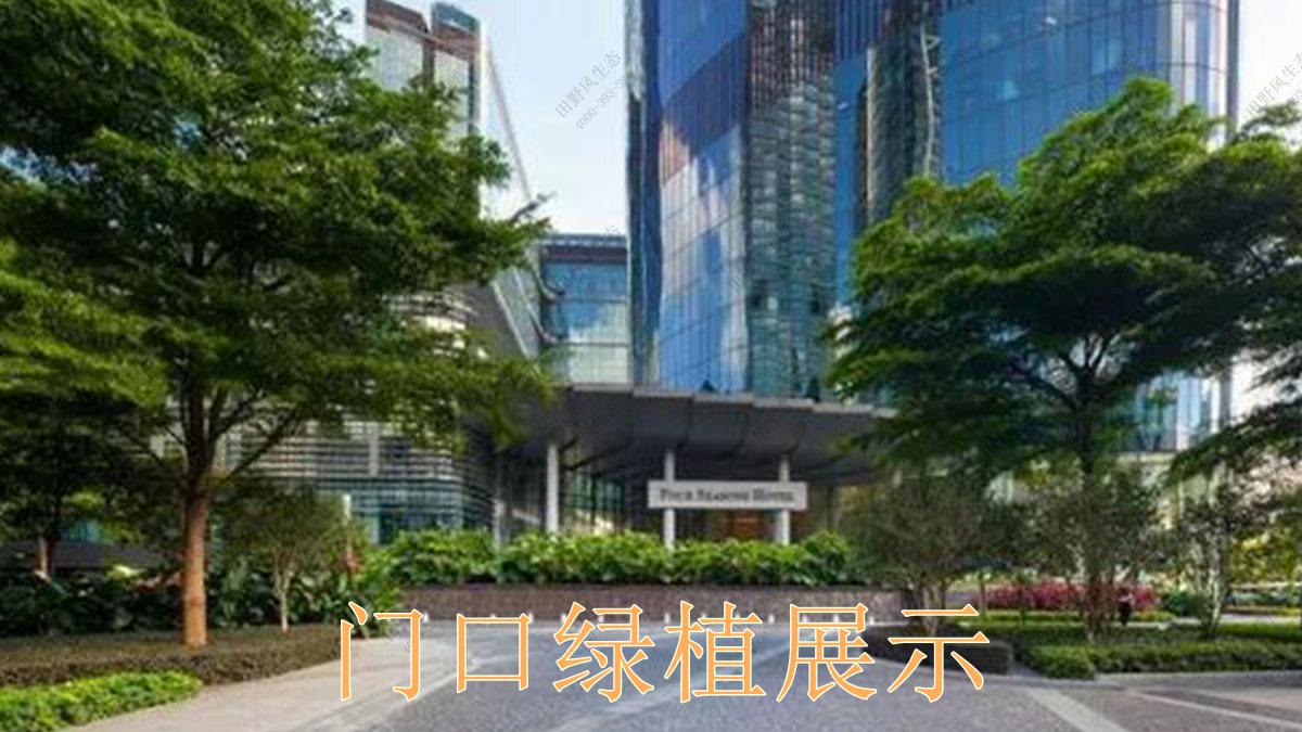 绿植租摆