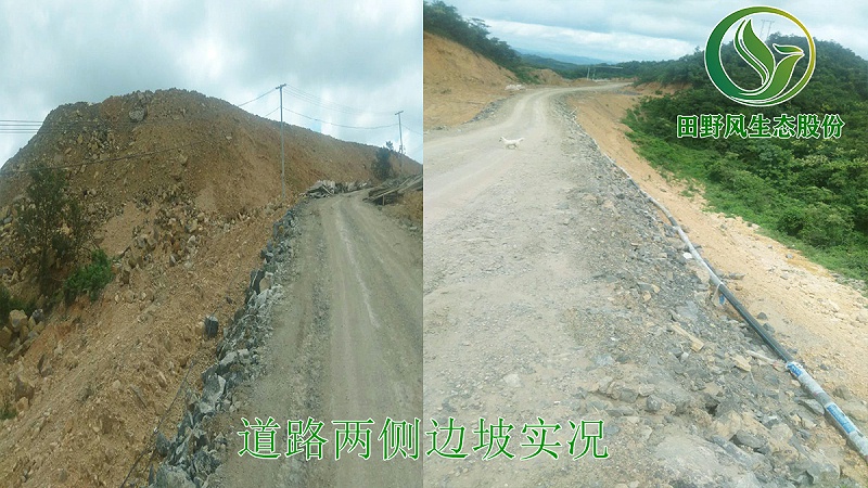 6道路两侧边坡实况