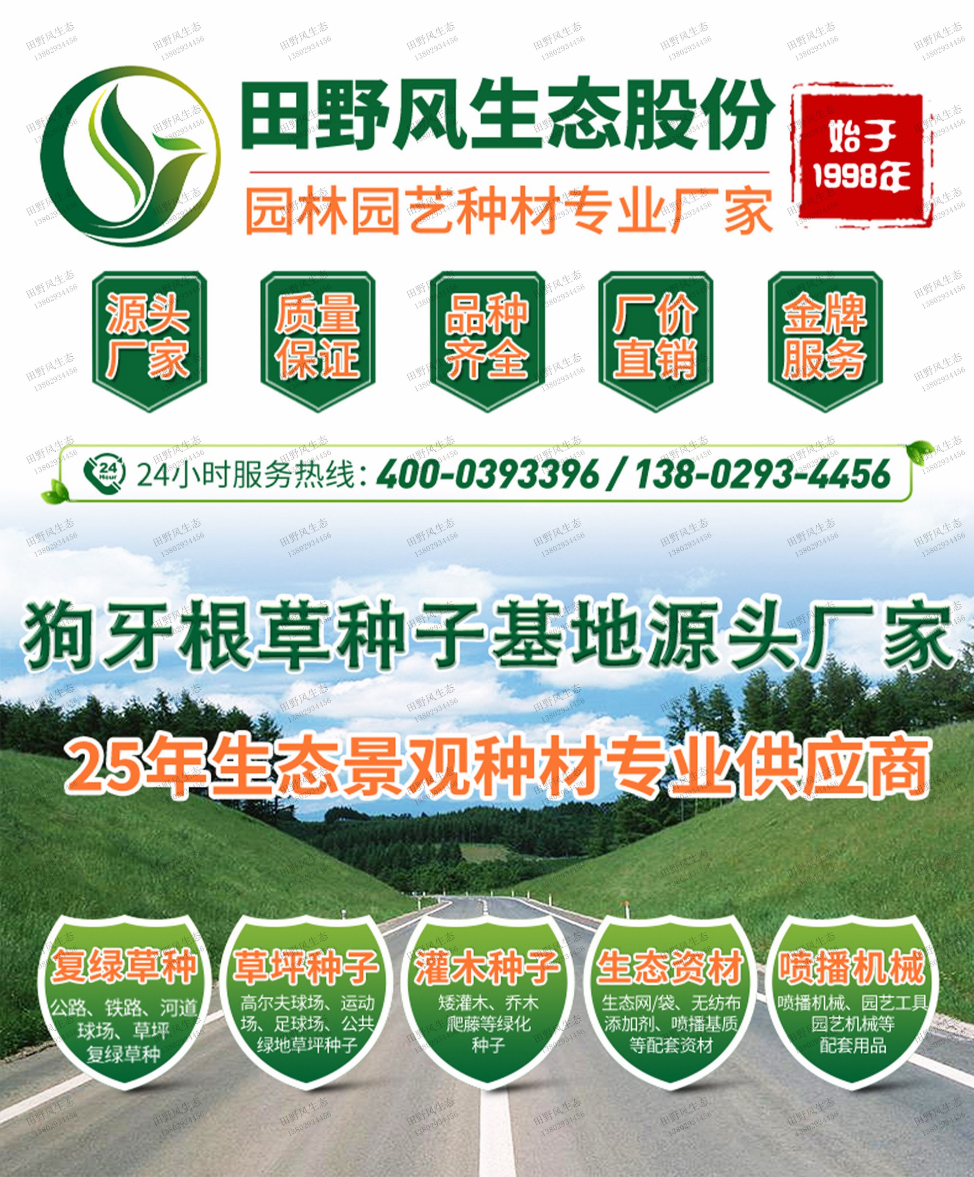 狗牙根草种