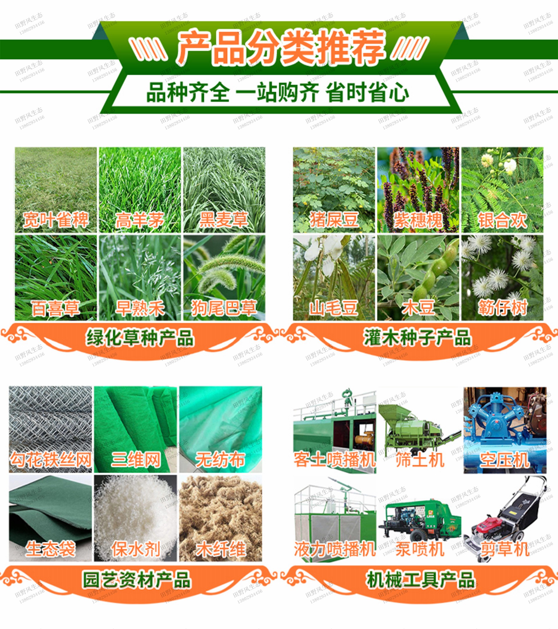 平地复绿草种