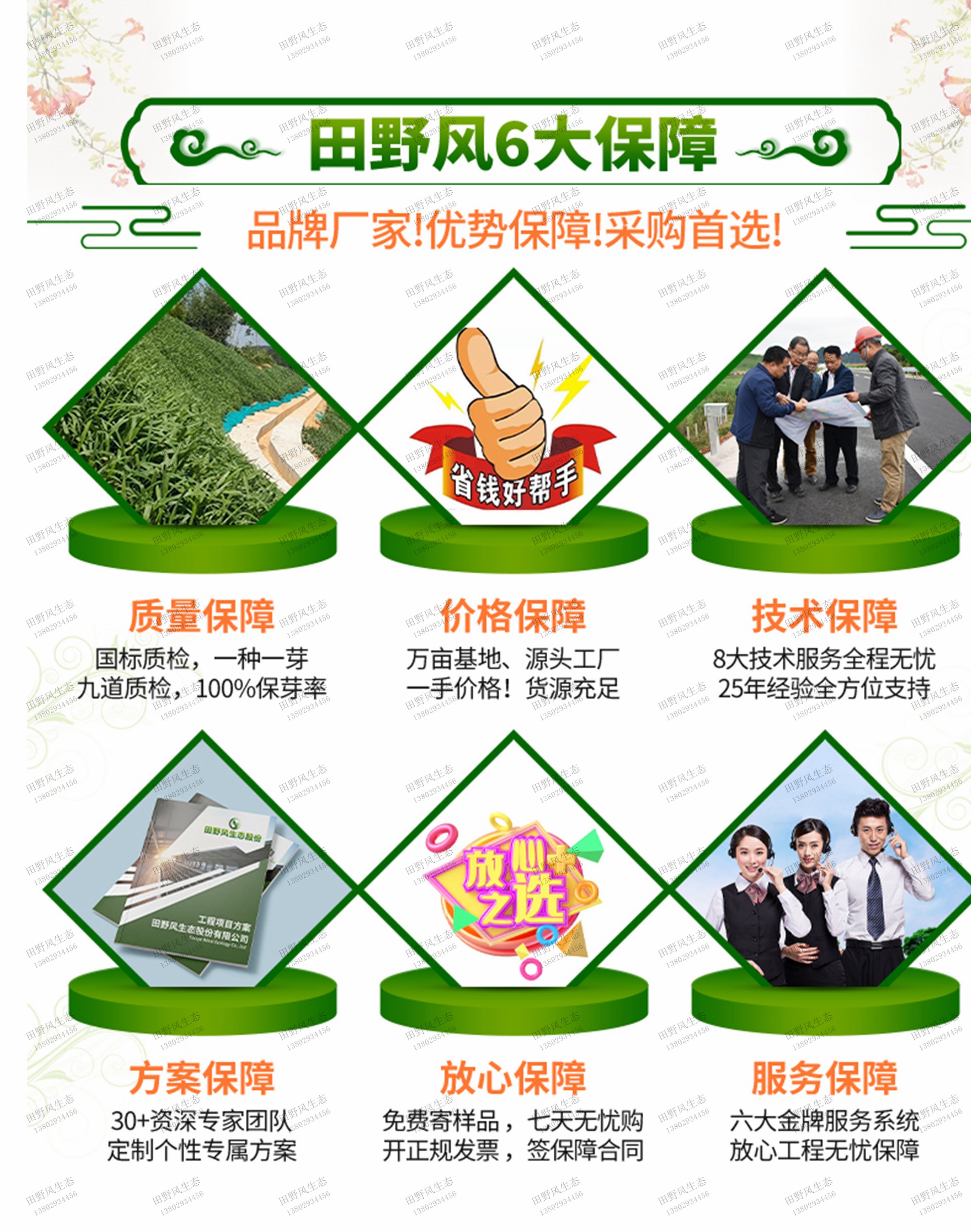 长得快的草种