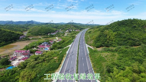 汕湛高建揭博段高速公路边坡复绿