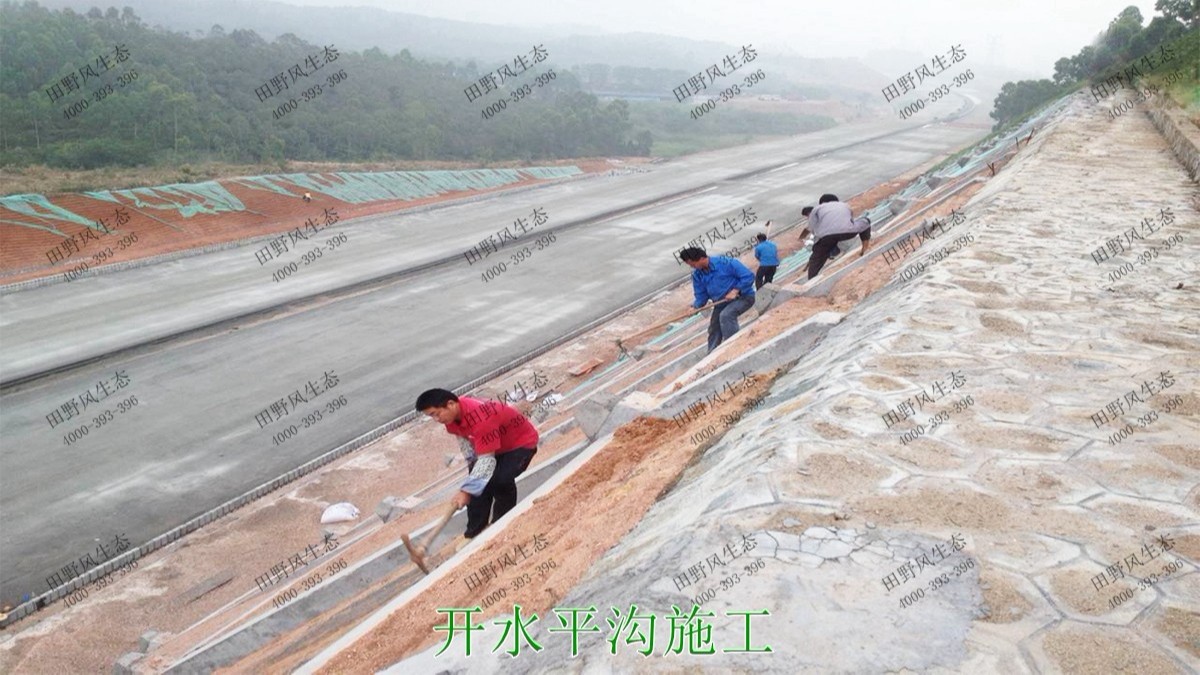 潮惠高速揭阳段高速公路边坡植草