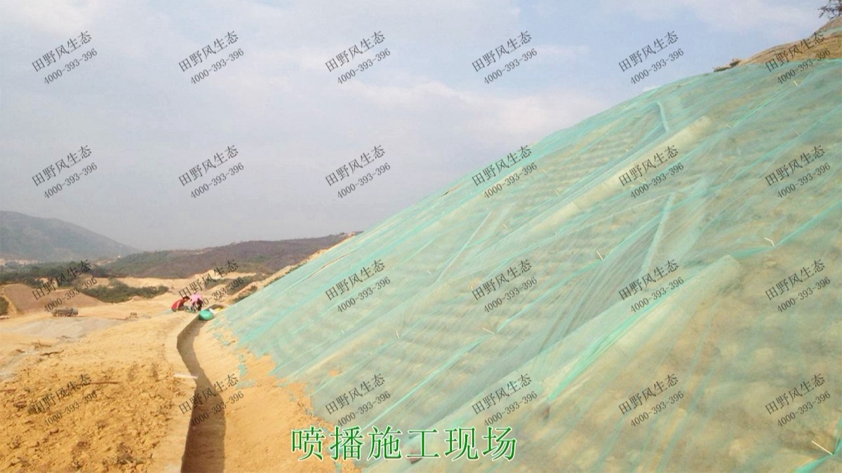 潮惠高速揭阳段高速公路边坡植草