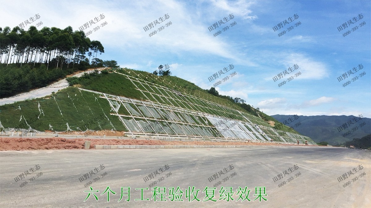 潮惠高速揭阳段高速公路边坡植草