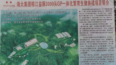 海大集团榕江益豚生态边坡复绿工程圆满竣工！