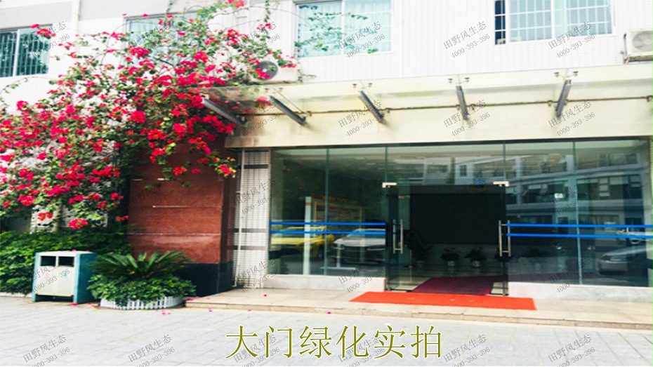 大门绿化实拍