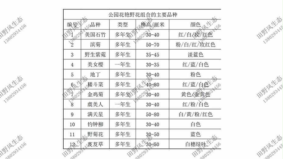 野花组合品种