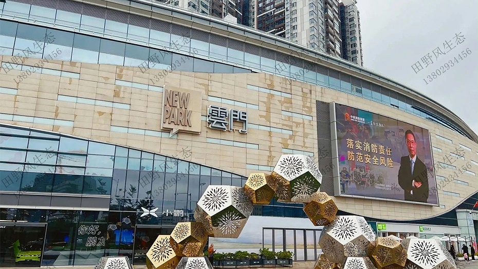 广州植物租摆公司