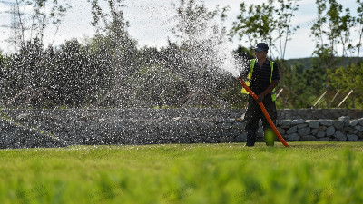 为什么要定期给草坪浇水施肥？