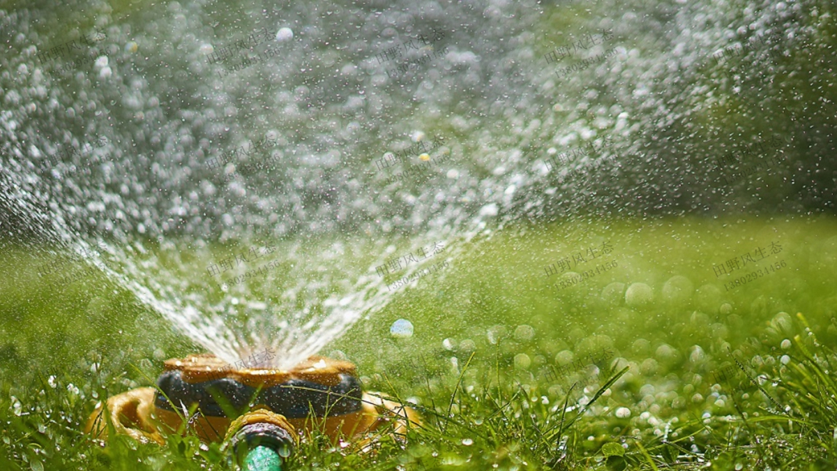 草坪浇水