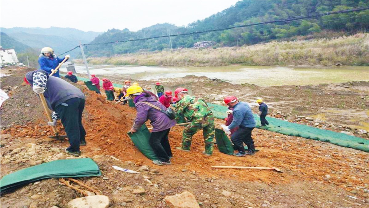 紫金县秋香江河道河堤边坡绿化工程