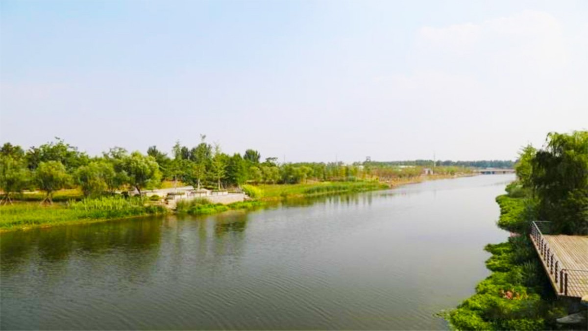 紫金县秋香江河道河堤边坡绿化工程