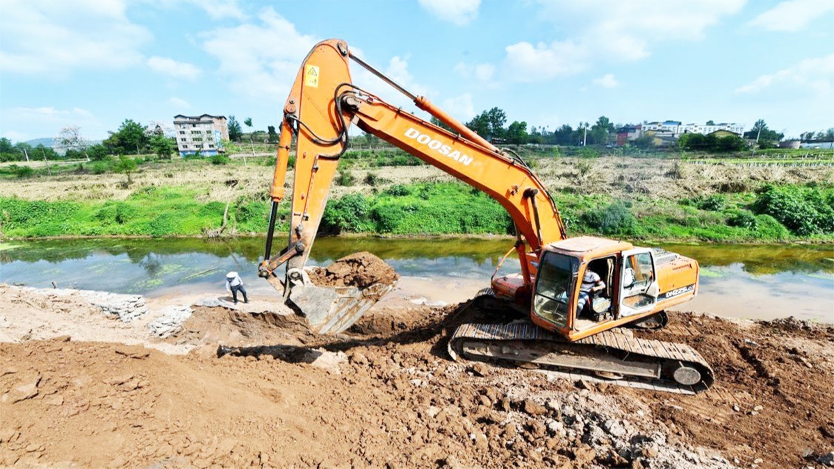 紫金县秋香江河道河堤边坡绿化工程