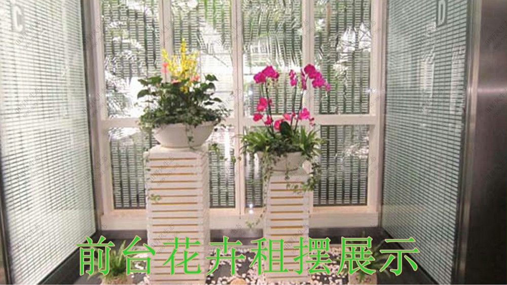广州保利国际广场植物出租案例