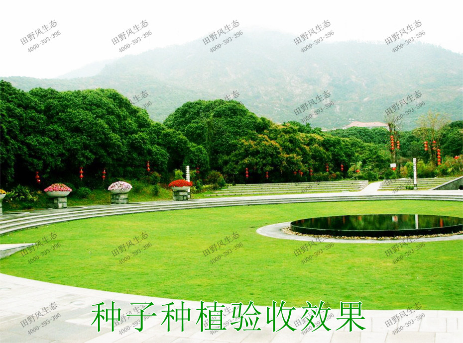 8种子种植验收效果