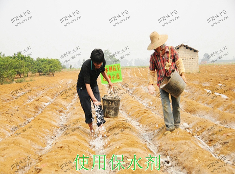 3使用保水剂