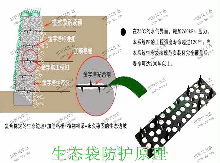 11生态袋防护原理